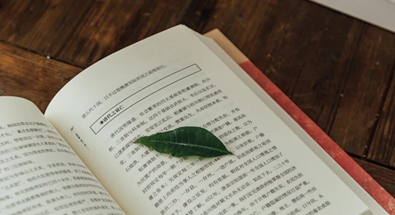 出书小说知乎 出书的网络小说？